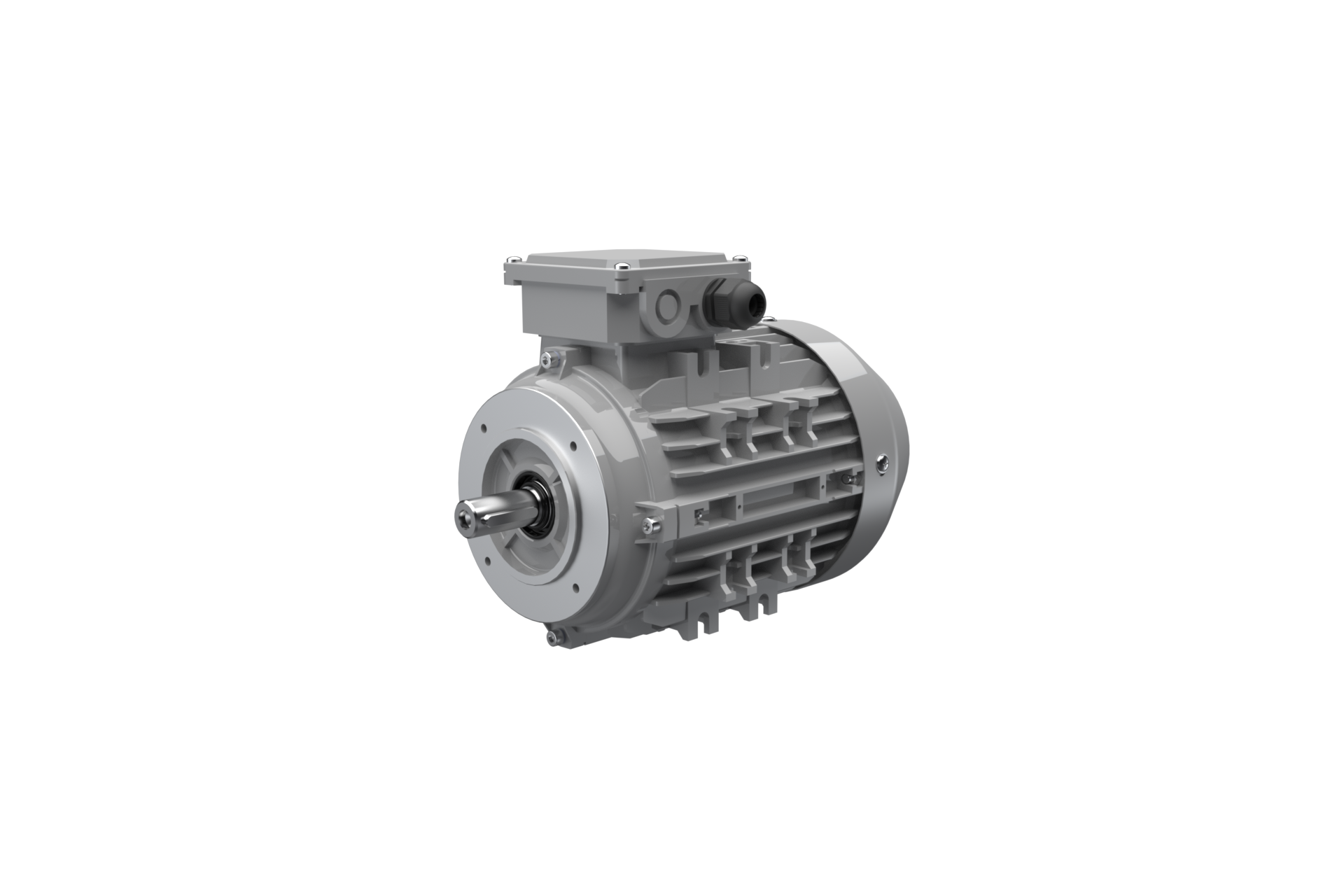 Asynchronous-Motor ACM 100 L 2/SPE